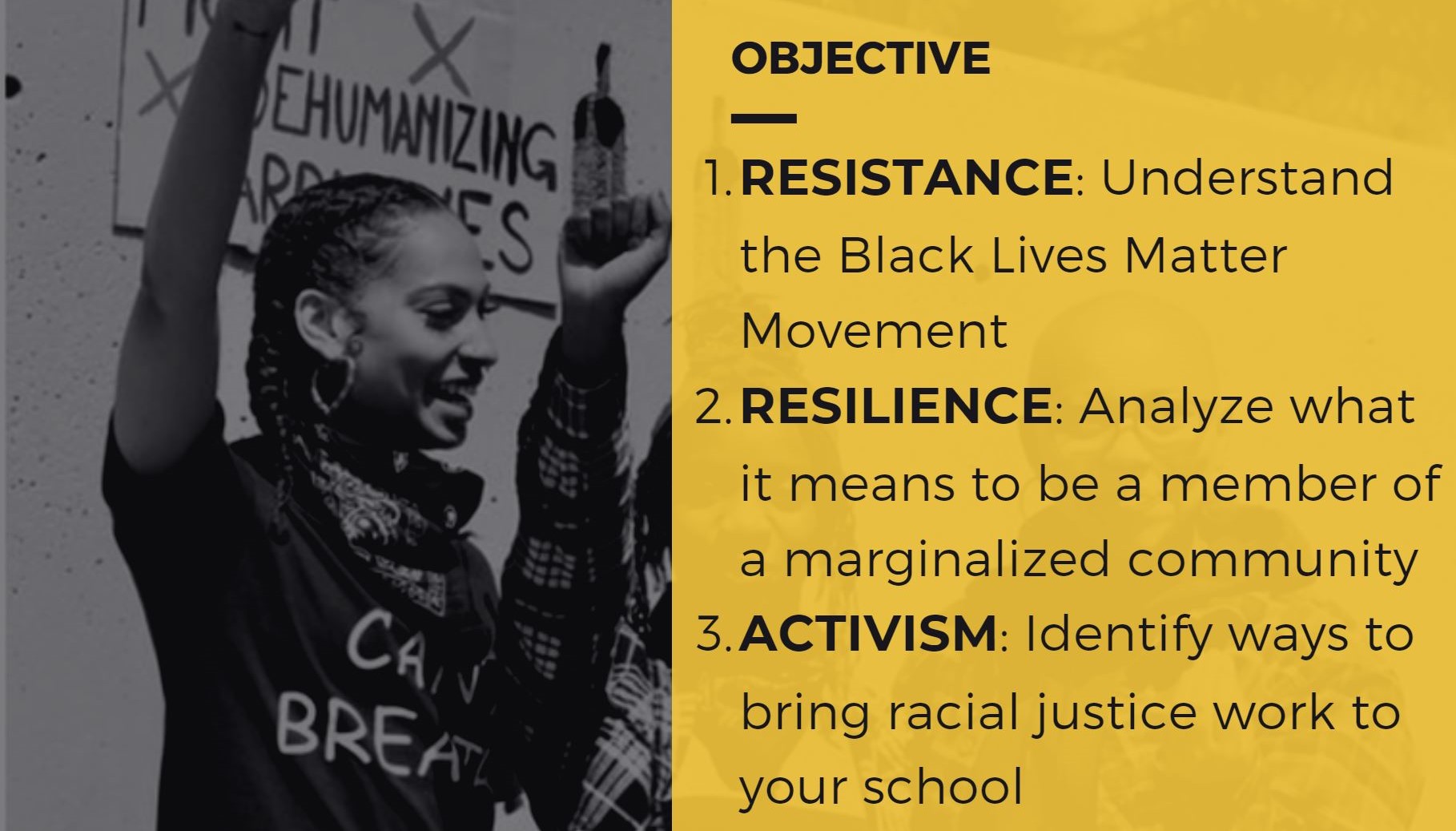 Graphic listing the objectives of the training: resistance, resilience, activism.