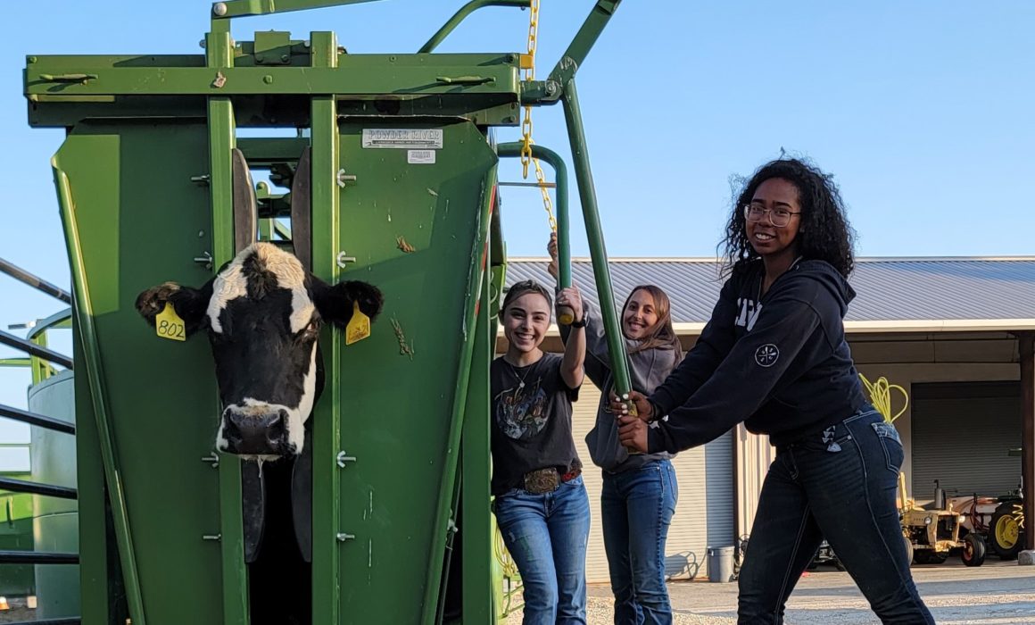 students at a farm