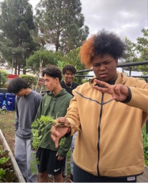 Students working in Hoover's garden