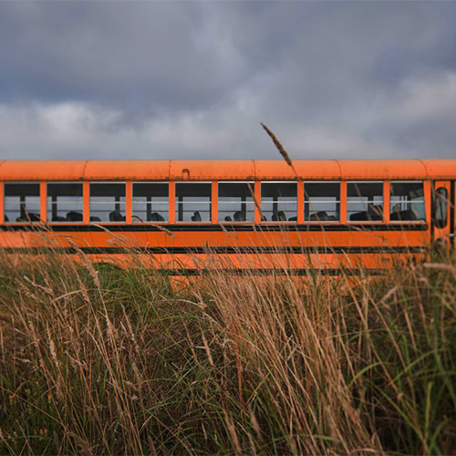 Photo of a yellow school bus in a field of grass.