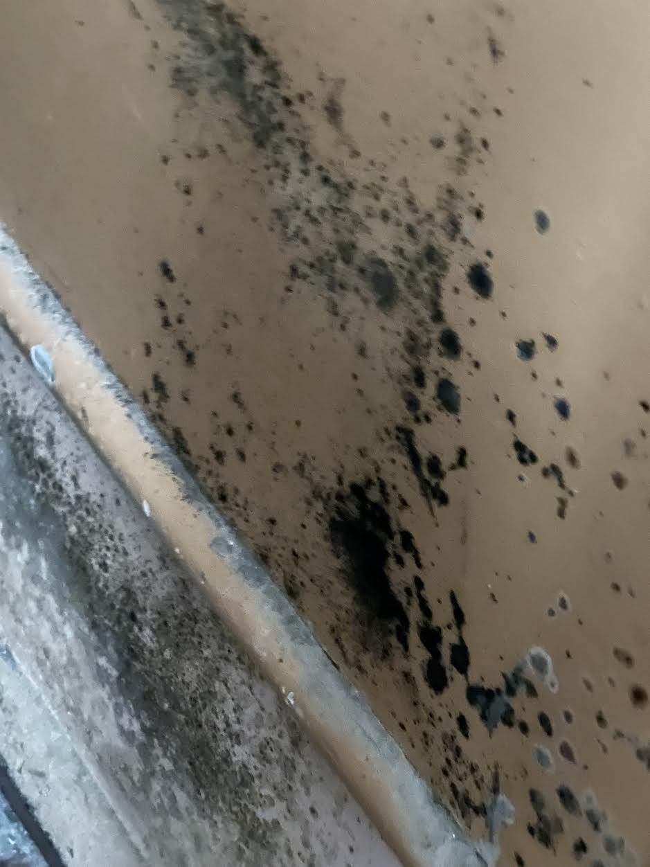 Black mold inside classrooms in Richmond