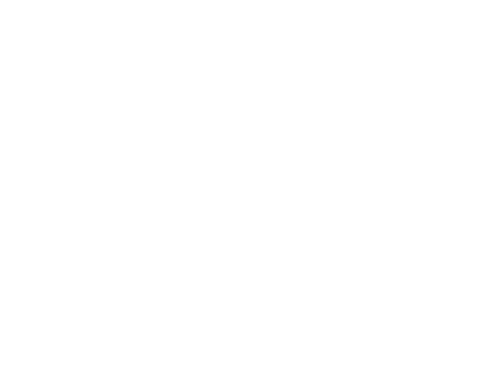 FFS Logo