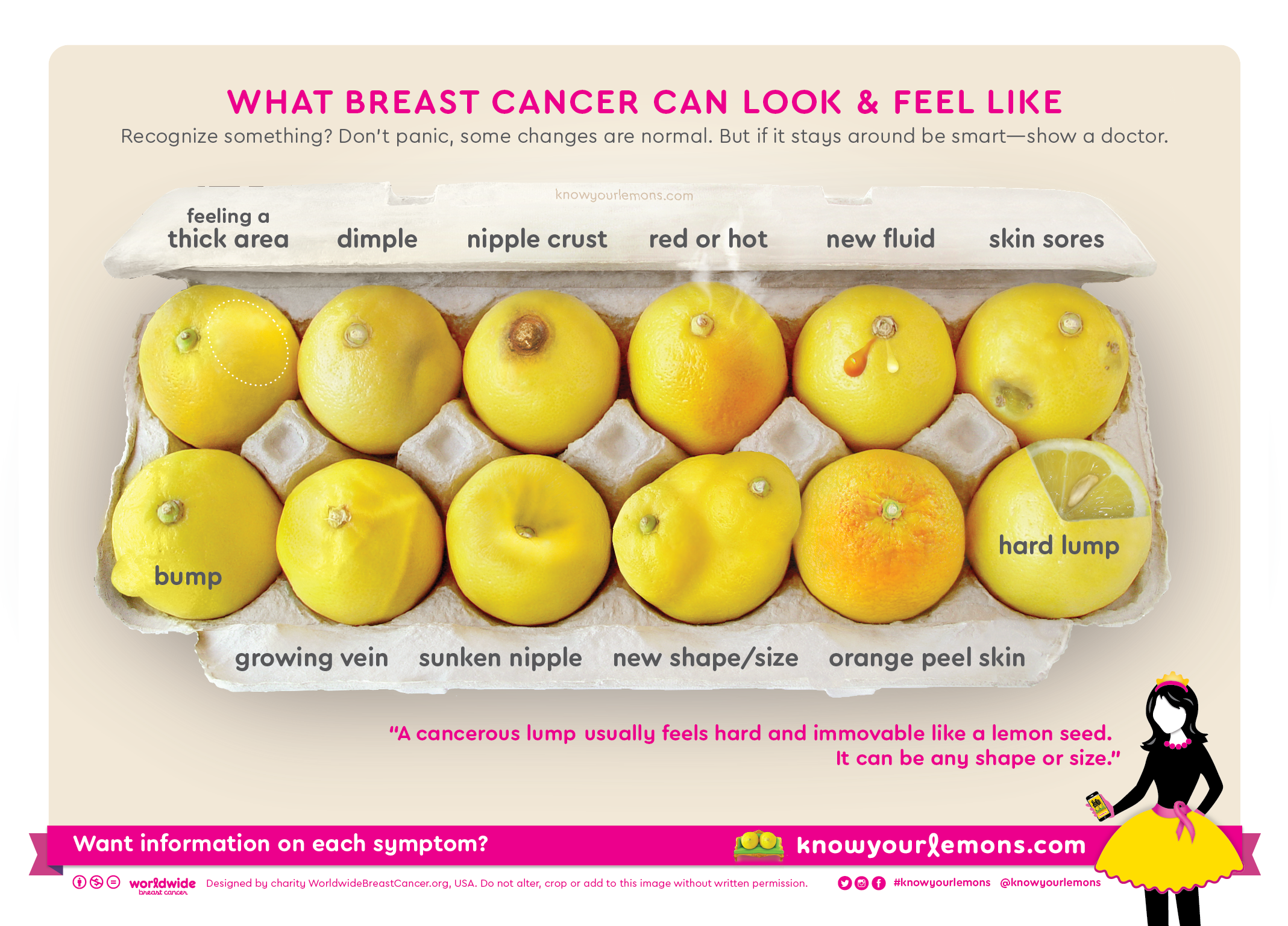 News EN-signs 5x7 Breast Cancer Awareness Know Your Lemons