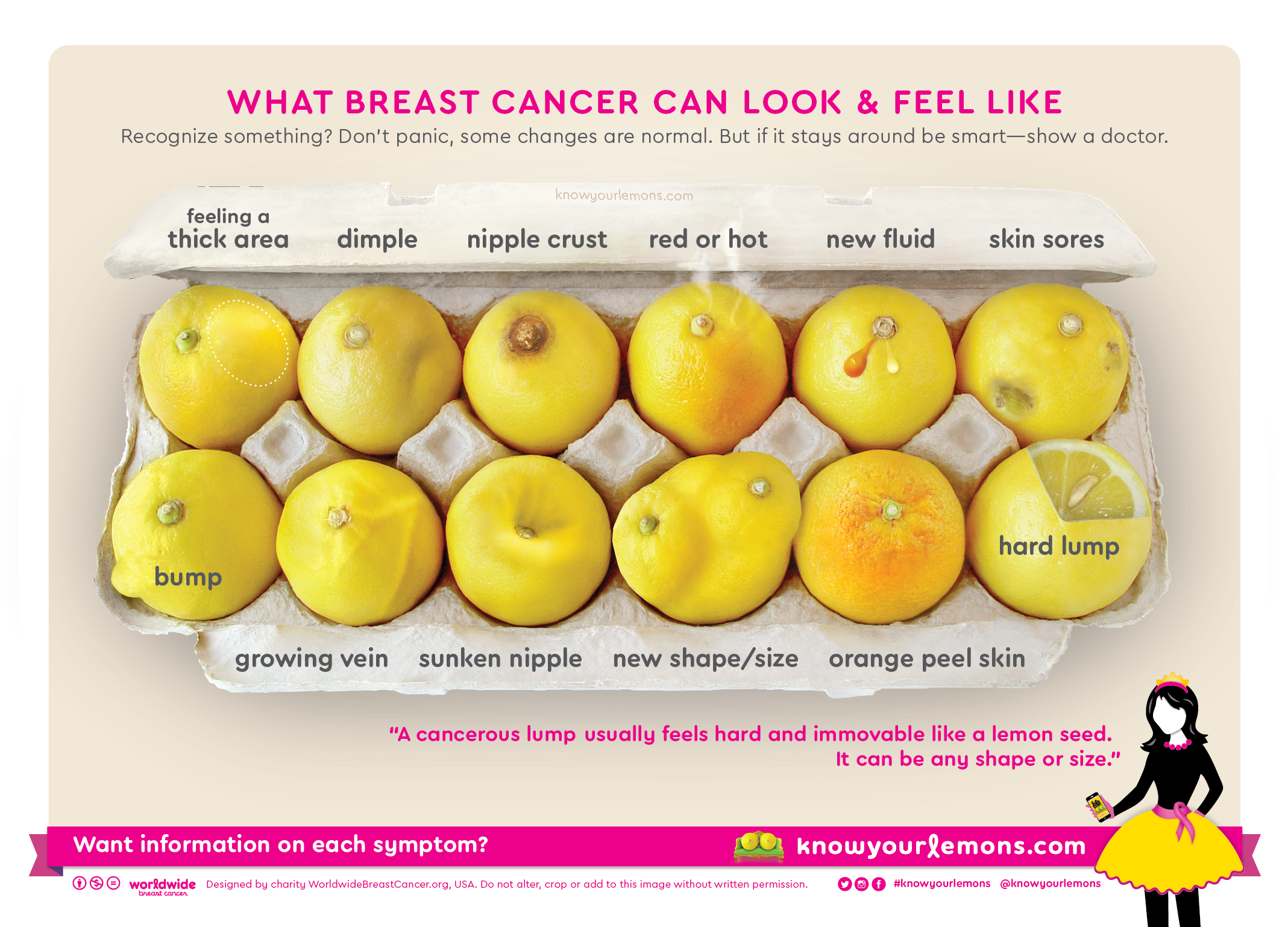 News EN-signs 5x7 Breast Cancer Awareness Know Your Lemons