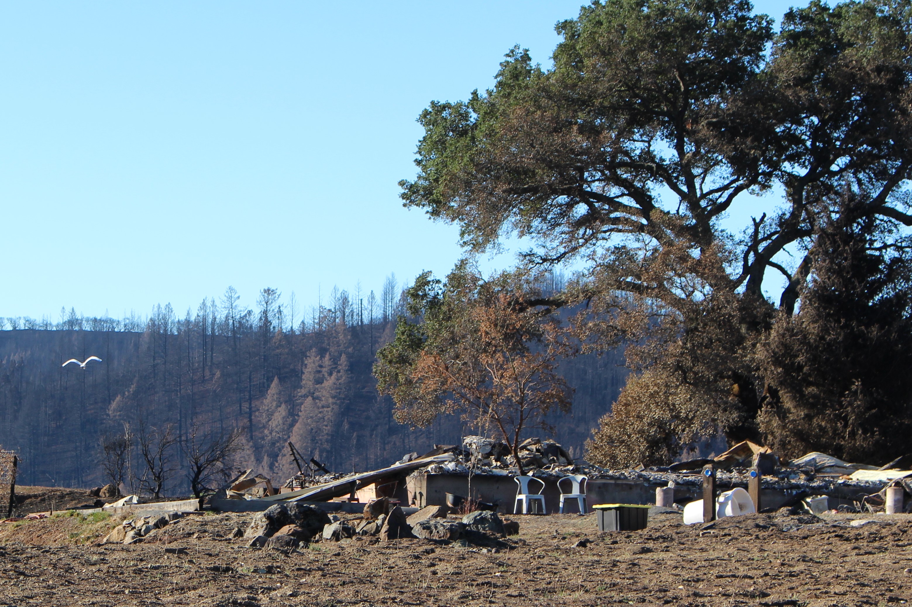 Teachers Doug and Cati Day vow to rebuild their dream home above Santa Rosa.