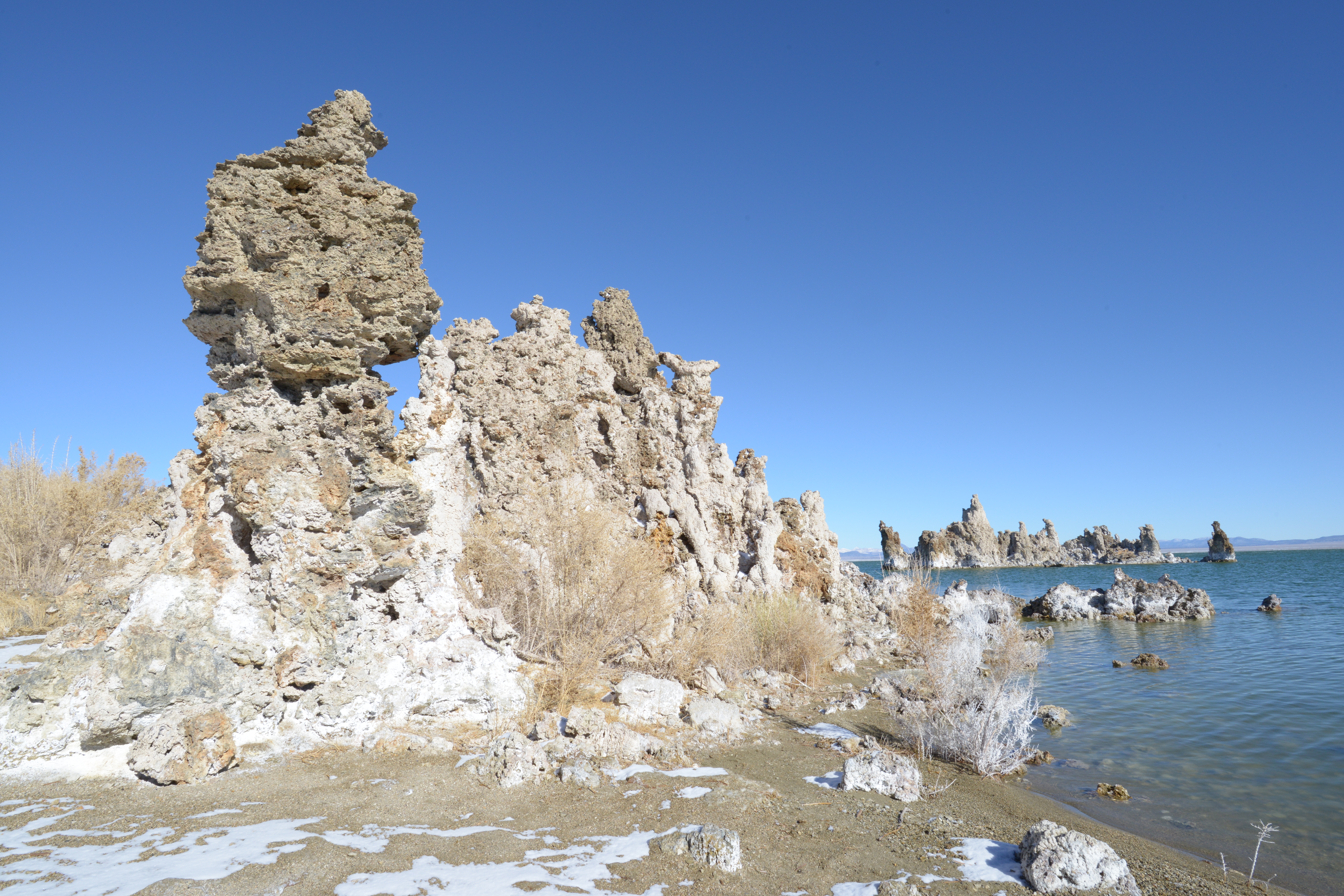 Winter field seminars at Mono Lake